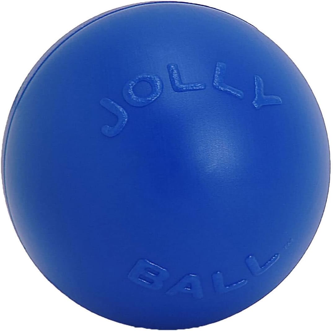 Jolly Pets Push-n-Play blue 14-inch ball front view