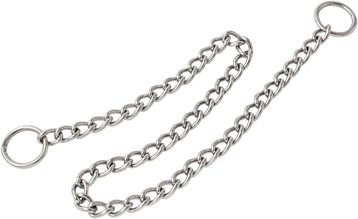 WePet professional dog obedience collar showcasing the strong welded metal construction.