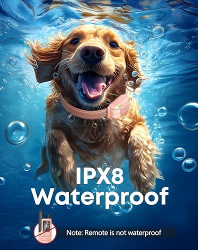 IPX8 waterproof e-collar receiver demonstrating durable design for pets