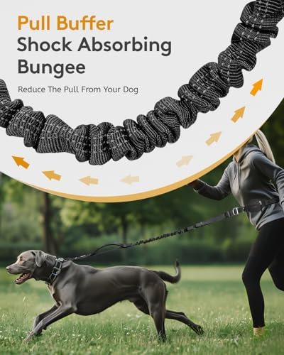 MIDOG multifunctional bungee dog leash full length view