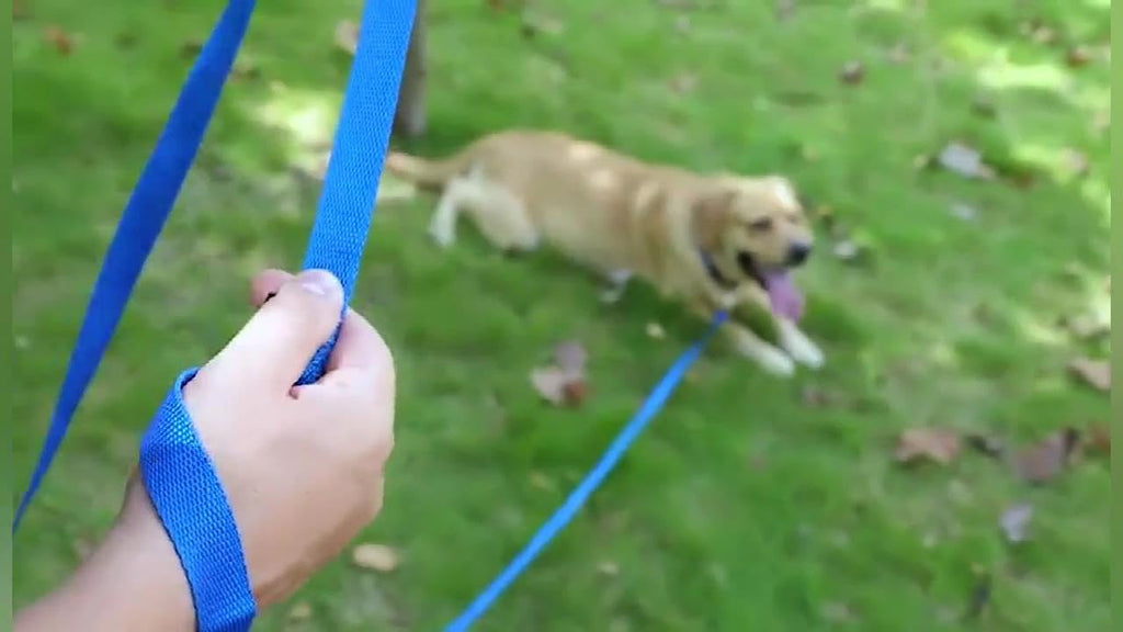 AMAGOOD 15ft heavy duty nylon long line leash for medium dogs