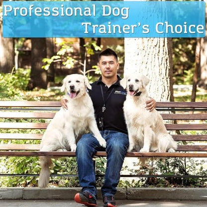 Dog wearing PetSpy training collar outdoors
