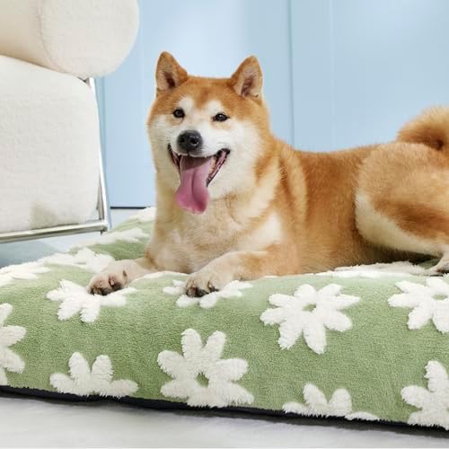 LE SURE Dog Beds Large Sized-Thick Shredded Chopped Foam Pet Bed Indoor as Bed Gift with Removable Cover, Cute Modern Fuzzy Plush & Anti Slip Bottom, Green - Image 7