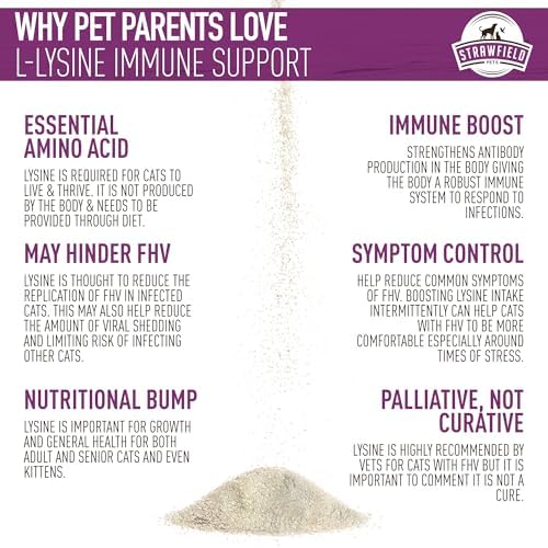 Healthy cat with Strawfield Pets L-Lysine supplement jar