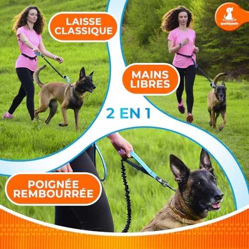 SparklyPets hands free leash traffic handle close up