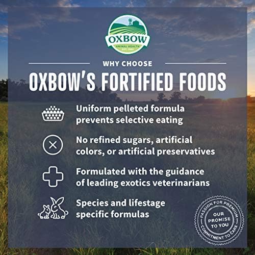 Oxbow garden select adult guinea pig food pelleted texture close up