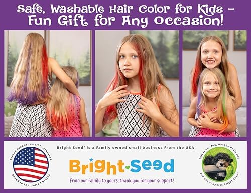Full Bright Seed hair chalk kit packaging with water sprayer