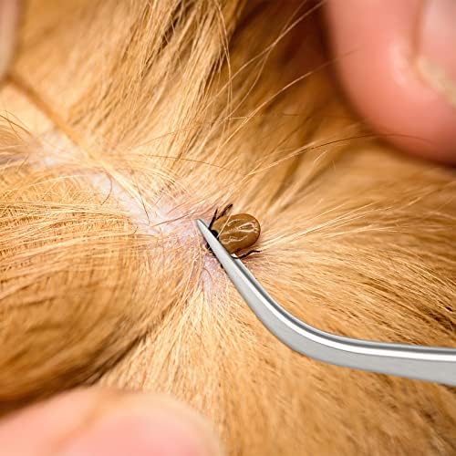 Rypet stainless steel medical grade tick kit