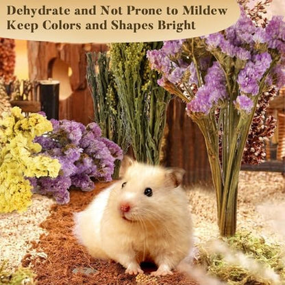 Sukh 60Pcs Nature Flower Herb Hamster Bedding - Cage Enclosure Habitat Decor Mate Small Animal Natural Ear of Grain Sprays for Syrian Dwarf Hamsters Gerbils Rabbit Other Pets - Image 6