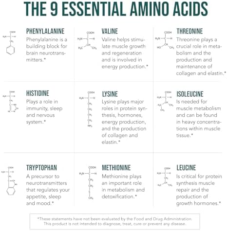 Triquetra Health Plant Aminos lifestyle fitness setting view