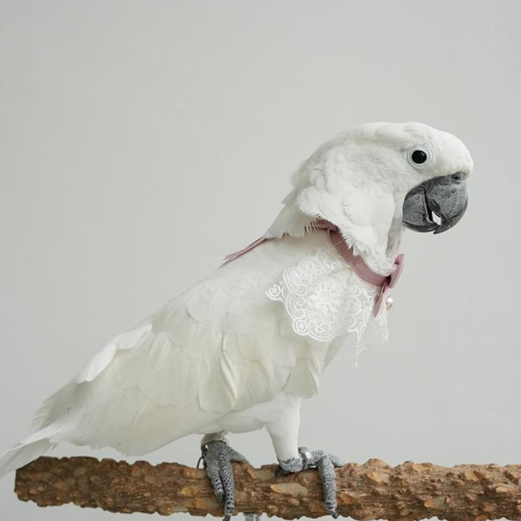 Washable reusable bird necktie scarf outfit suitable for pet photography props