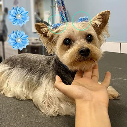 Assortment of small dog hair bows with elastic bands for pets