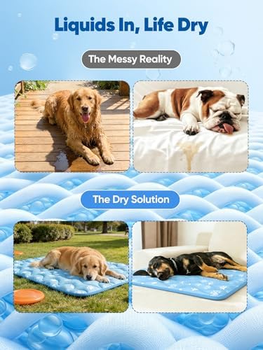 Rywell super absorbent dog mat highlighting the plush one hundred and eighty gram inner filling thickness