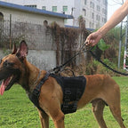 Dual control handles on Icefang tactical dog lead