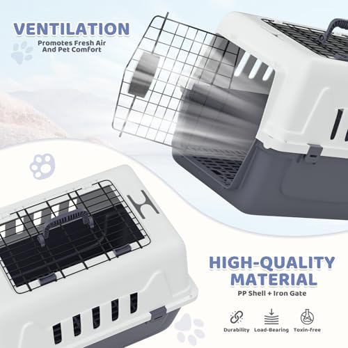 Magshion travel dog crate strapped safely with a car seat belt