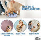 Pet Arena Interactive Puzzle Toy Used Indoors