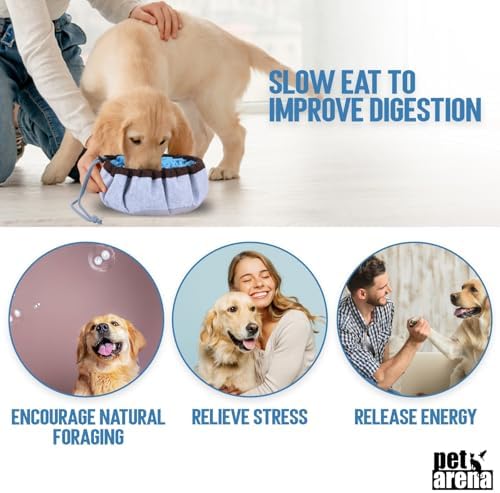Pet Arena Interactive Puzzle Toy Used Indoors