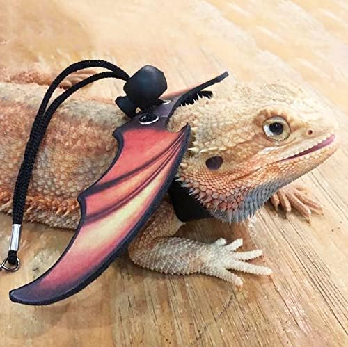 Adjustable buckle detail on reptile leash