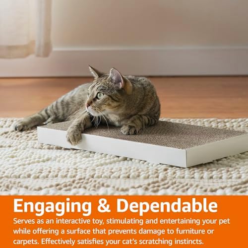 Eco-friendly non-toxic cat scratcher board imported from the USA to protect Indian living room furniture.