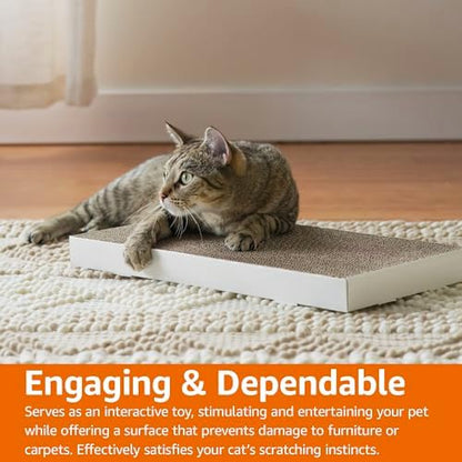 Eco-friendly non-toxic cat scratcher board imported from the USA to protect Indian living room furniture.