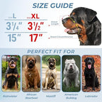 CleverTail metal muzzle worn by a Rottweiler for sizing