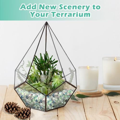 Crystal chips inside a glass terrarium container