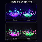 Bluecoco equinox flower coral side angle view