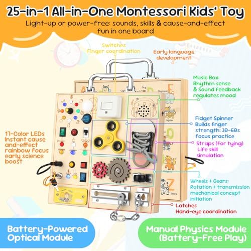 Full layout of the 25 in 1 electronic early development board highlighting all interactive elements.