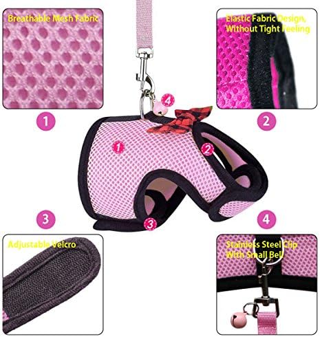 Rypet small pet walking vest with safety bell detail