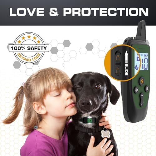 Dog wearing Invirox 2026 edition training collar outdoors