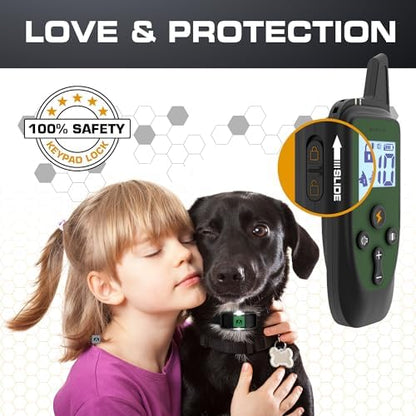 Dog wearing Invirox 2026 edition training collar outdoors