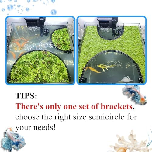Self leveling aquarium plant barrier showing automatic height adjustment.