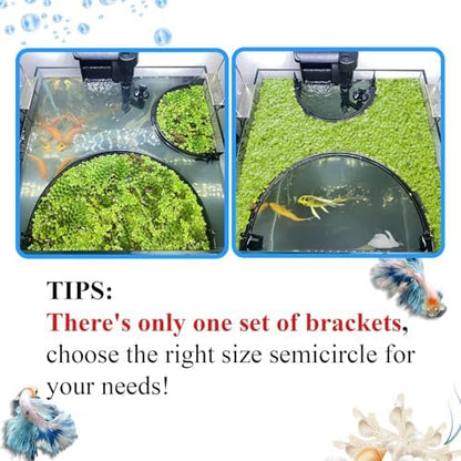Self leveling aquarium plant barrier showing automatic height adjustment.
