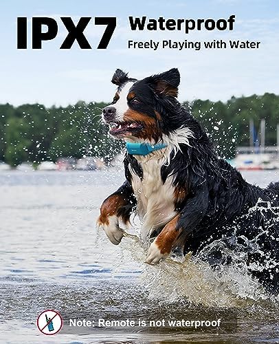 Bousnic dog training system components set