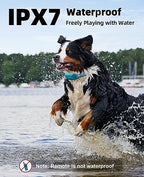 Bousnic dog training system components set