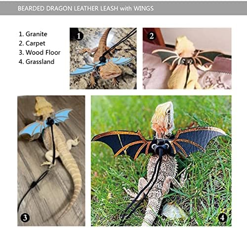 Durable nylon leash and leather harness for reptiles