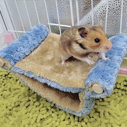 Oncpcare hammock showing top lounge and bottom bed