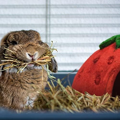Wild Harvest(TM) Picnic Party Hut, Artificial Strawberry Flavored House for Pets, 1 Ct. - Image 8