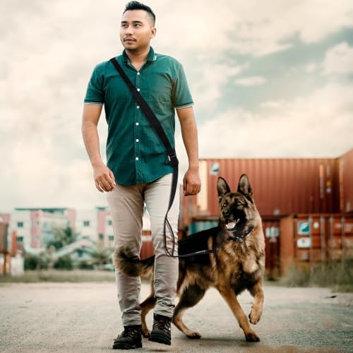 TSPRO multi-function dog leash for hiking and running
