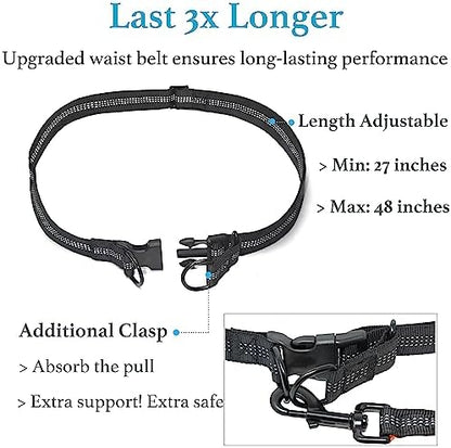 Iyoshop dog leash showing reflective safety stitching