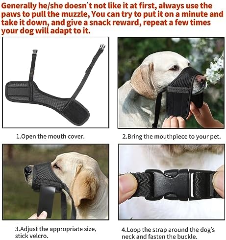 Detailed graphic highlighting the snout circumference and length measuring points for the perfect fit.