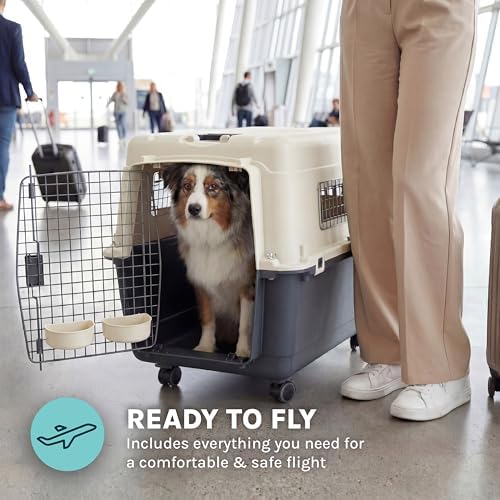 Sport Pet IATA compliant dog kennel rear view highlighting the durable plastic shell construction