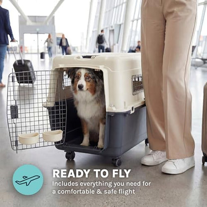 Sport Pet IATA compliant dog kennel rear view highlighting the durable plastic shell construction