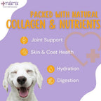 Nutrient dense chicken broth for cat and dog hydration