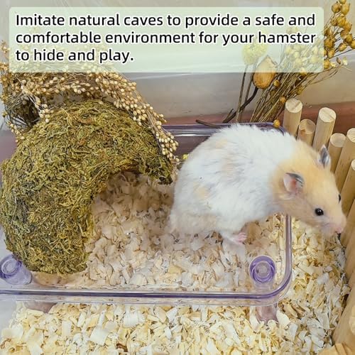 kathson 1Pcs Hamster Hideout, Moss Coconut Hut, Pet Hiding House, Hamster House for Mouse Mice Rat Guinea Pigs Reptiles - Image 7