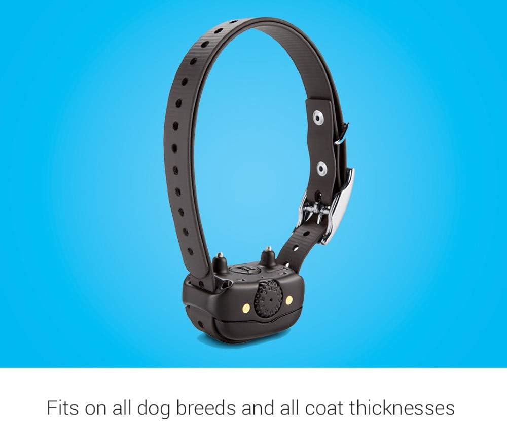 Garmin BarkLimiter Deluxe unit demonstrating waterproof design