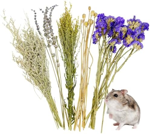 Fhiny Natural Hamster Bedding, Flower & Herb Hamster Bedding Mate Hamster Sprays Gerbil Habitat Decor Accessories for Dwarf Syrian Hamster Gerbil Mice Mouse Degus Lemming or Other Small Pets - Image 2