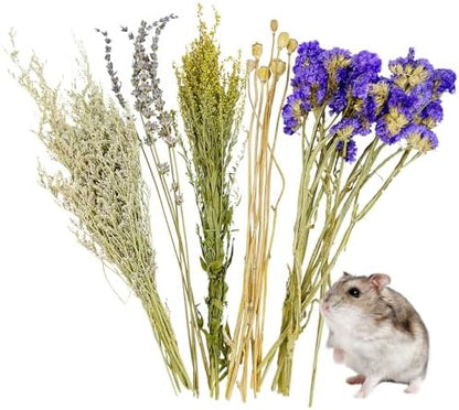 Fhiny Natural Hamster Bedding, Flower & Herb Hamster Bedding Mate Hamster Sprays Gerbil Habitat Decor Accessories for Dwarf Syrian Hamster Gerbil Mice Mouse Degus Lemming or Other Small Pets - Image 2