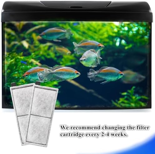 Installing the authentic imported aquarium filter cartridge into the tank
