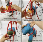 Barn Eleven petite bird harness showing nylon webbing texture